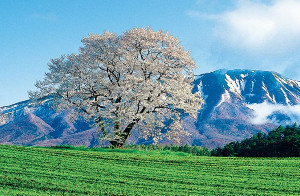 小学生・中学生・理科