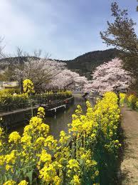 小学生・中学生・理科